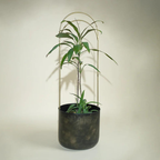 Luna Standing Planter