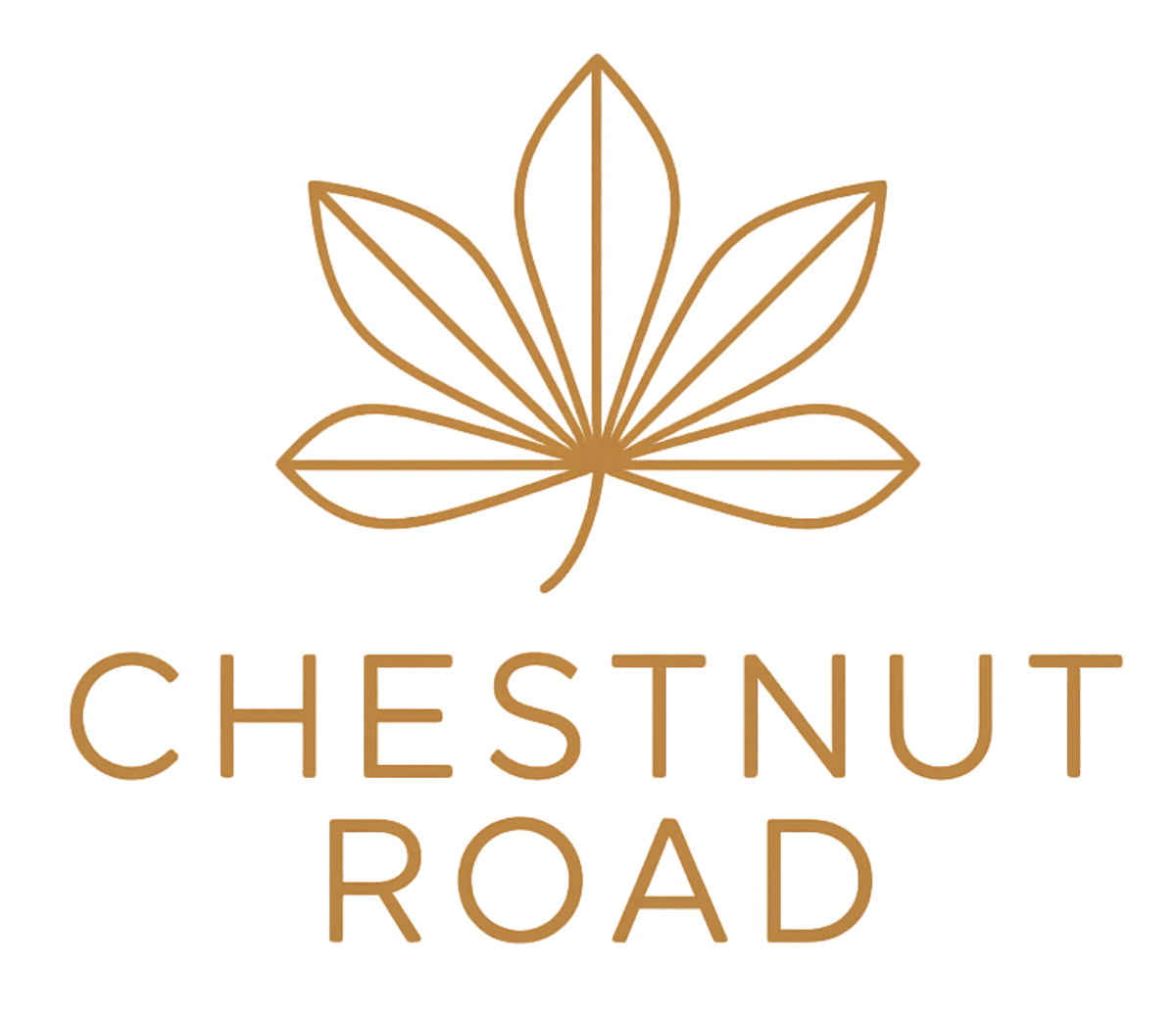The Chestnut Road Store